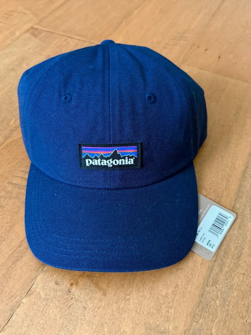 Patagonia P-6 Label Trad Cap